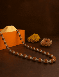 Divine Rudraksha Malai